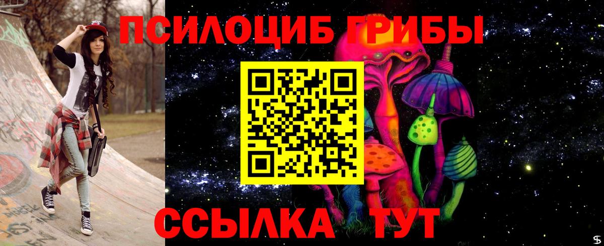 Галлюциногенные грибы Psilocybine cubensis  Псилоцибиновые грибы Cubensis  Кингисепп  Вход с VPN 